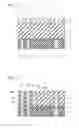 Fig. 02 - SEMICONDUCTOR DEVICE AND MANUFACTURING METHOD THEREFOR