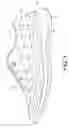 Fig. 02 - Article of Footwear of Nonwoven Material and Method of Manufacturing Same
