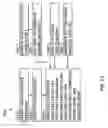 Fig. 32 - GNSS post positioning with elongated dither sequence