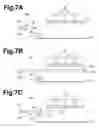Fig. 08 - Inkjet recording apparatus having cleaning member for cleaning an image sensor