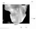 Fig. 05 - System and methods for vital sign estimation from passive thermal video