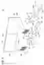 Fig. 06 - Scanning image display system and scanning image display