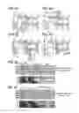 Fig. 07 - Display device and driving method thereof