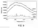 Fig. 08 - Security screening using raman analysis
