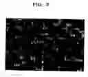 Fig. 03 - Image display body and image formation method