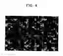 Fig. 04 - Image display body and image formation method
