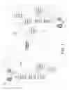 Fig. 02 - Message forwarding system