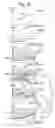 Fig. 30 - Image processing device, image display device, and image processing method therefor