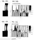 Fig. 13 - Method for incidence of light  into a photonic crystal optical waveguide