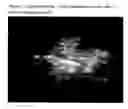 Fig. 06 - In vivo detection of apoptosis