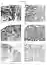 Fig. 28 - Cytotoxicity mediation of cells evidencing surface expression of TROP-2