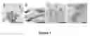 Fig. 02 - DENDRITIC CELLS