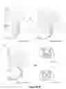 Fig. 09 - DENDRITIC CELLS