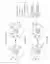 Fig. 02 - Intracellular nanosensors and methods for their introduction into cells