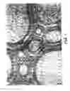 Fig. 02 - SHAVING GEL PRODUCTS