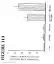 Fig. 44 - Method of increasing trafficking of endothelial progenitor cells to ischemia-damaged tissue