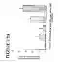 Fig. 45 - Method of increasing trafficking of endothelial progenitor cells to ischemia-damaged tissue