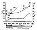 Fig. 01 - NOVEL PHARMACEUTICAL COMPOSITION OF INTERFERON GAMMA OR PIRFENIDONE WITH MOLECULAR DIAGNOSTICS FOR THE IMPROVED TREATMENT OF INTERSTITIAL LUNG DISEASES