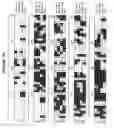 Fig. 07 - Interleukin-1 Beta Converting Enzyme Like Apoptosis Protease-3 and 4
