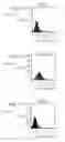 Fig. 02 - Humanized Anti-CCR2 Antibodies and Methods of Use Therefor