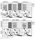 Fig. 01 - Mutated exotoxins with reduced antigenicity