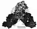 Fig. 01 - Antigen binding proteins to proprotein convertase subtilisin kexin type 9 (PCSK9)
