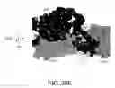 Fig. 131 - Antigen binding proteins to proprotein convertase subtilisin kexin type 9 (PCSK9)