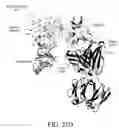 Fig. 136 - Antigen binding proteins to proprotein convertase subtilisin kexin type 9 (PCSK9)