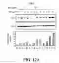 Fig. 99 - Antigen binding proteins to proprotein convertase subtilisin kexin type 9 (PCSK9)
