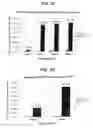 Fig. 06 - Therapeutic composition for use in the prevention and treatment of bone metastases