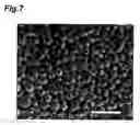 Fig. 08 - Microparticles, microparticle dispersion and method and apparatus for producing the same