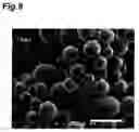 Fig. 09 - Microparticles, microparticle dispersion and method and apparatus for producing the same