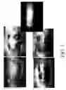 Fig. 06 - Organ regeneration device