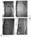 Fig. 08 - Organ regeneration device