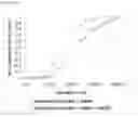Fig. 04 - Aerated fat-continuous products
