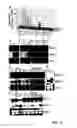 Fig. 07 - Plant isoflavonoid hydroxylases and methods of use thereof