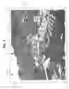 Fig. 02 - SHEET SUPPORT FOR DIGITAL PHOTOGRAPH PRINTS