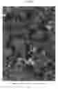 Fig. 07 - Thin film glass composite catalyst electrode