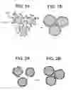 Fig. 02 - Active material for rechargeable lithium battery and rechargeable lithium battery including the same