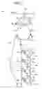 Fig. 02 - Image forming apparatus, image forming method, and toner for image forming apparatus