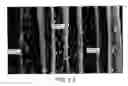 Fig. 45 - Microporous materials, methods of making, using, and articles thereof