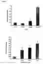 Fig. 04 - Compositions and methods for detecting compounds to treat a neurological disorder