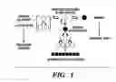 Fig. 02 - Nucleic acid sequences associated with cell states