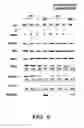 Fig. 07 - Nucleic acid sequences associated with cell states