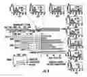 Fig. 09 - PERFORIN-2 PROTEINS