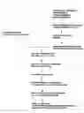 Fig. 01 - Reagents for the detection of protein phosphorylation in leukemia signaling pathways