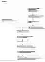 Fig. 02 - Reagents for the detection of protein phosphorylation in leukemia signaling pathways