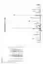 Fig. 22 - Reagents for the detection of protein phosphorylation in leukemia signaling pathways