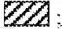 Fig. 04 - BTL-II nucleic acids