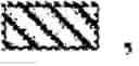 Fig. 09 - BTL-II nucleic acids